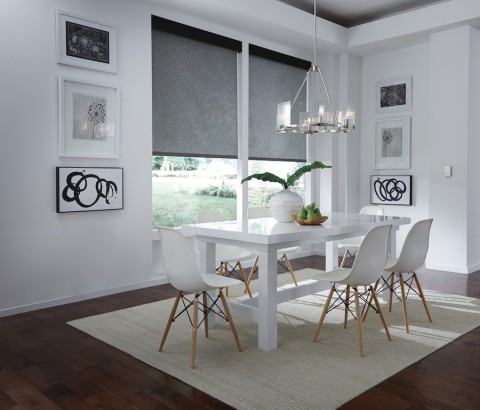 A room with Lutron roller shades. 