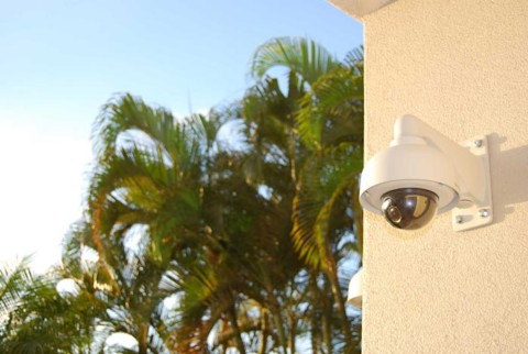 An outdoor security camera overlooks a property with palm trees in background